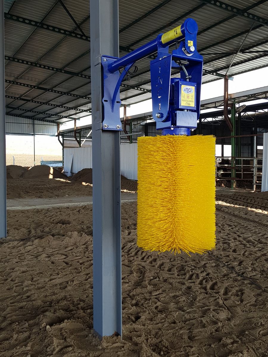 aZb Kuhbürste – freischwingend 3