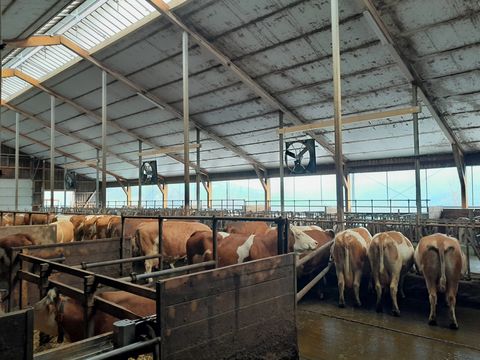 Sonstige Orkan Ventilator DM 140 - Stallventilator mit Po