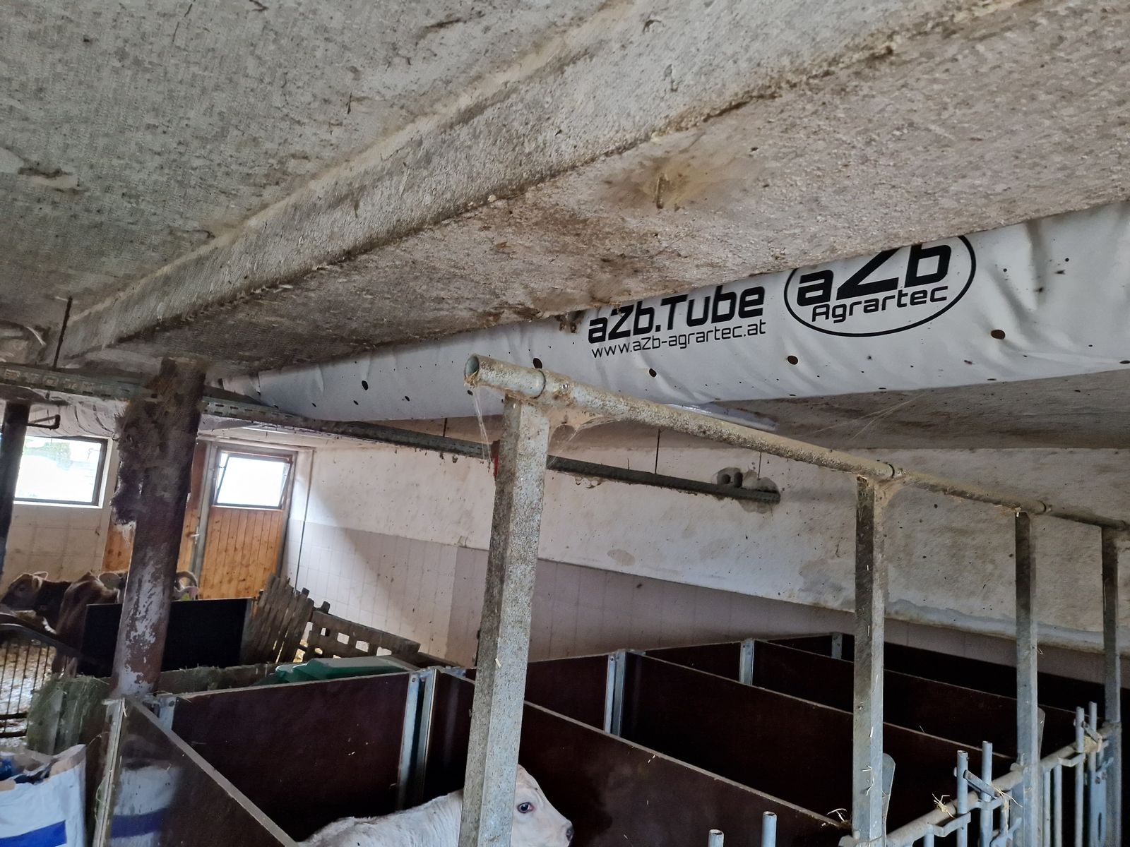 Schlauchbelüftung aZb Tubes für Kälber 3