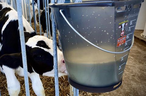Sonstige Milk Bar ® Nuckel schwarz - zur Kälberfütterung