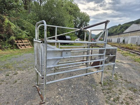 Wasserbauer pneumatische Tür mit Seitenausgang