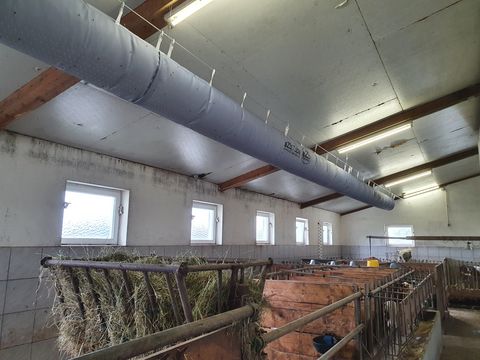 Sonstige Schlauchbelüftung aZb Tubes für Kälber