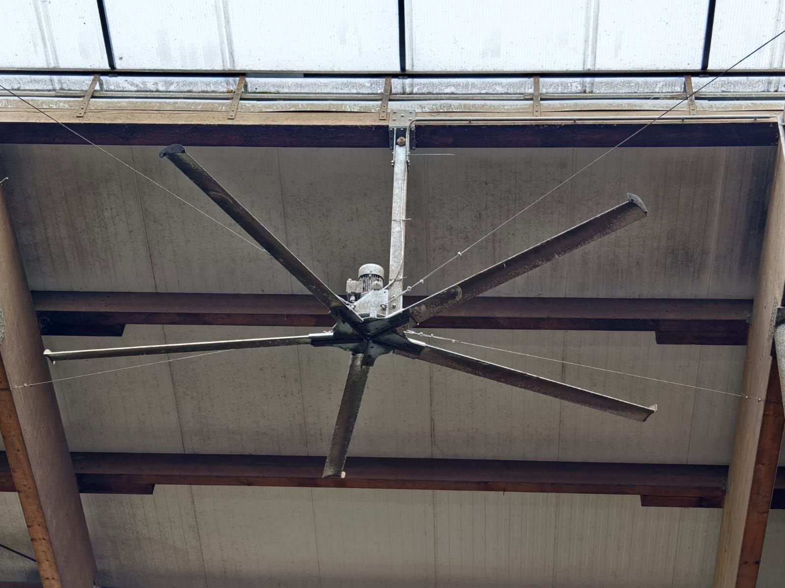 Deckenventilator gebraucht DM 3,90 Stall Ventila 3