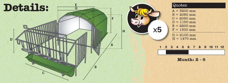 Iglu / Gruppeniglu / Kälberiglu aZb Deluxe 5 3