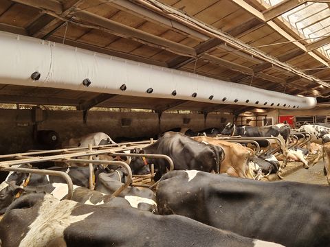 Sonstige Schlauchbelüftung aZb Tube f. Liegeboxen, Futter