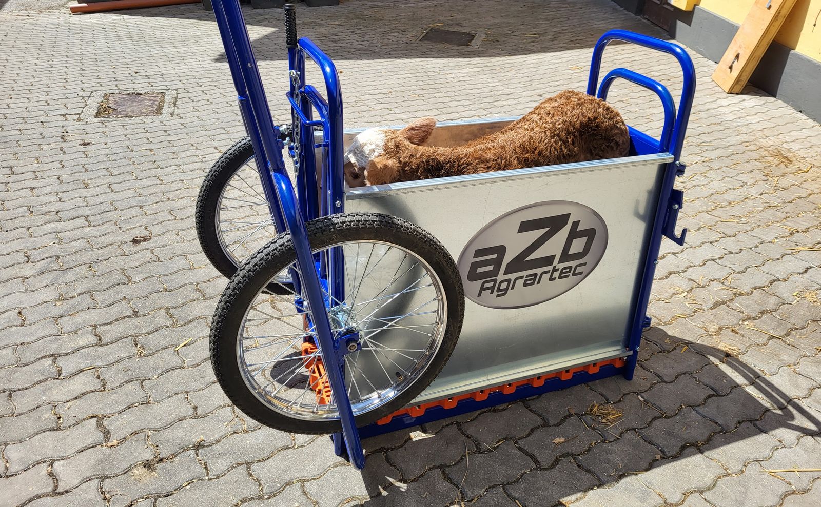 aZb Kälbertaxi zum sicheren Kälbertransport 2