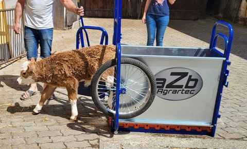 aZb Kälbertaxi zum sicheren Kälbertransport 3