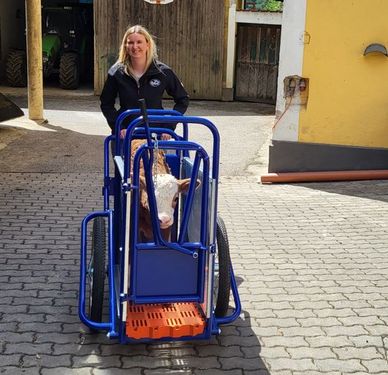 Sonstige aZb Kälbertaxi zum sicheren Kälbertransport