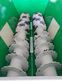 8442-8ba92a12a66324016d8a4ebee9b30798-5899813