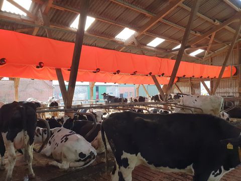 Sonstige Schlauchbelüftung aZb Tube f. Liegeboxen, Futter