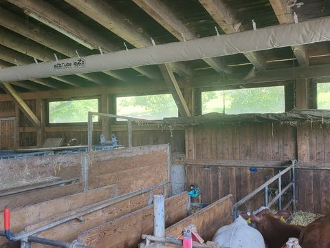 Sonstige Schlauchbelüftung aZb Tubes für Kälber