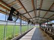 Sonstige Orkan Ventilator - Stallventilator mit Power