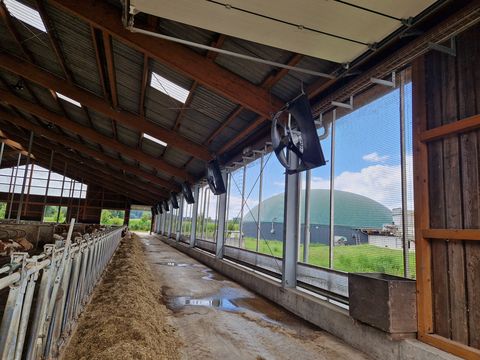 Sonstige Orkan Ventilator - Stallventilator mit Power