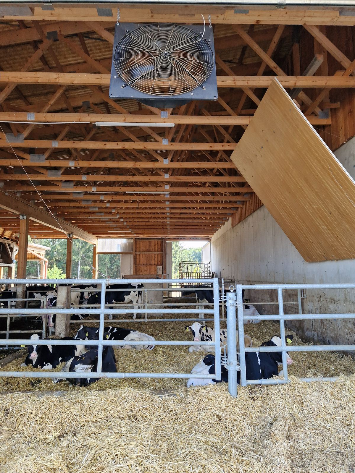 Ventilator 91cm - Stallventilator Ziehl Abegg 3