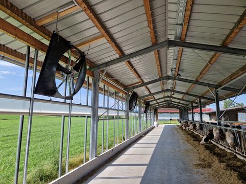 Sonstige Orkan Ventilator DM 140 - Stallventilator mit Po