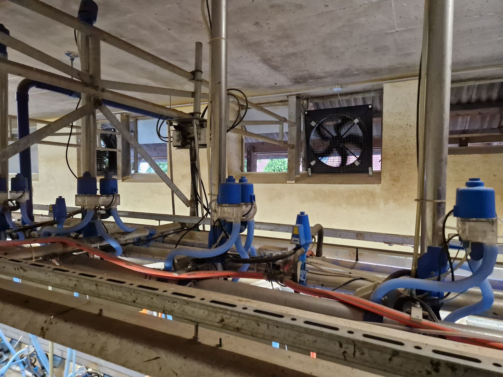 Ventilator 45cm - Stallventilator Ziehl Abegg 2