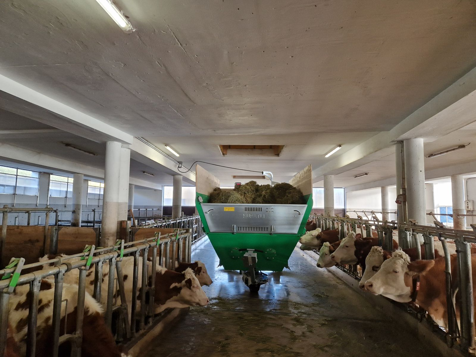 Kuratli Futtermischwagen elektrisch 10 m³ - NEU 3