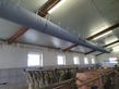 Sonstige gebrauchte Schlauchbelüftung Tube für Kälbe 