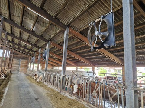 Sonstige Orkan Ventilator DM 140 - Stallventilator mit Po