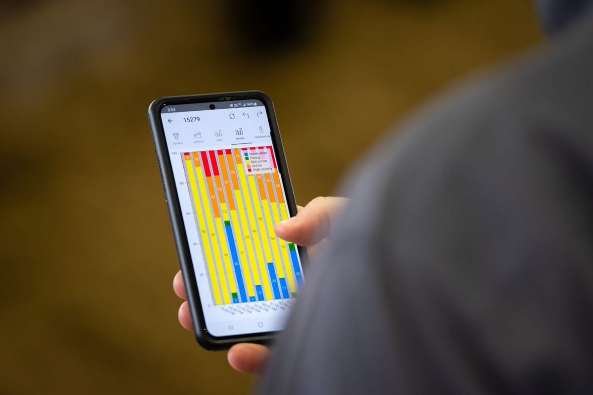 CowManager - Brunsterkennungssystem & Kuhüberwac 3