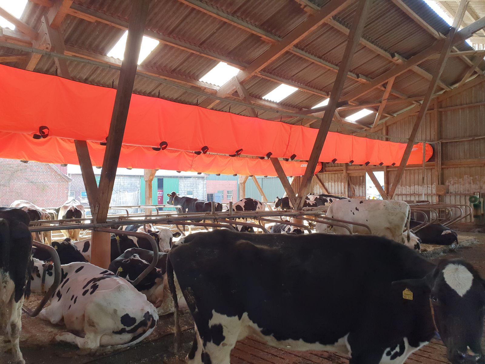 Schlauchbelüftung aZb Tube f. Liegeboxen, Futter 2