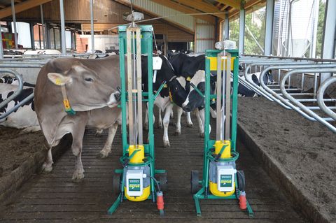 Brand Gülletechnik Spaltenmixer Rinder BMM Mini-Mix 1,3 m Schwertlä
