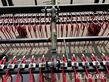 8454-10ed988a20a781870e6e47933dccd612-5748616