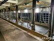 Sonstige Foderfronter för nöt 20st platser