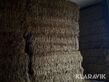 8454-3d4ce9397af51badcee4f78ed8710226-5656131