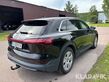 8454-4429eafd3e780bf7a1b99caeeba3fef6-5917649