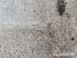 8454-6d76b3dbfa61d2cbaf6dfbbb28f0e7b6-5969035
