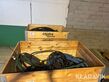 Sonstige Hydraulslangar 2 pallar