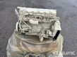 Sonstige motor 5,9 Turbo Diesel