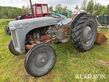 Massey Ferguson Ferguson Grålle 