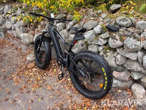 El-MTB I.AM.CARBON 2