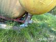 8454-eef32ca517275688c3955441929747d1-5959843