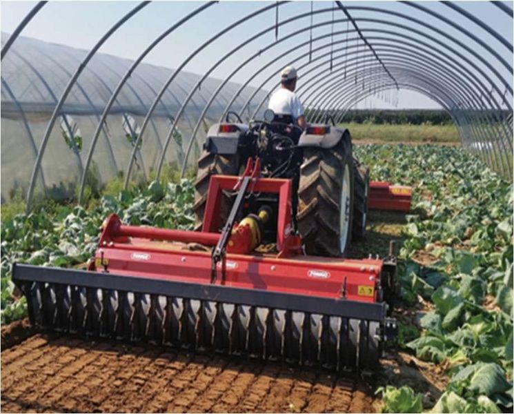 Forigo Forigo Umkehrfraese  3