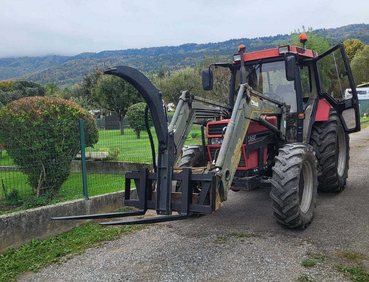 Palettengabel Euro mit Stachelkralle 2