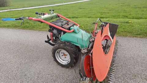 Rapid Eingraser WB 1289