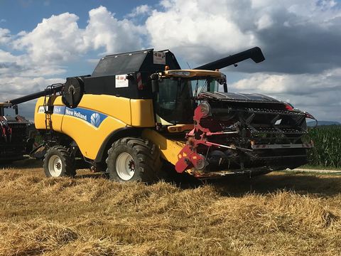 Geringhoff Grainstar 6m