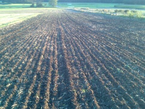 Rotoland TOP 3.0 S 3