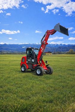 Grizzly 810+Teleskop Lader 4x4  2 Jahre mobile Garantie