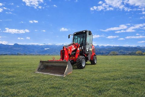 Grizzly 811T HOFLADER 4x4! E3 2 Jahre mobile Garantie!