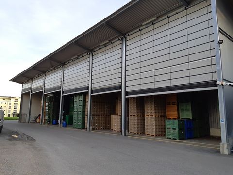 Sonstige Rolltore - Sektionaltore - Tore - Türen