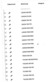 8627-4c16e0edddb712dcf3375f72266c466a-5455082