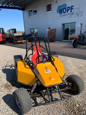 Sonstige Elektro-Buggy 50 km/h, 48 V