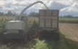 CLAAS Jaguar 860 Allrad Mercedes Motor!