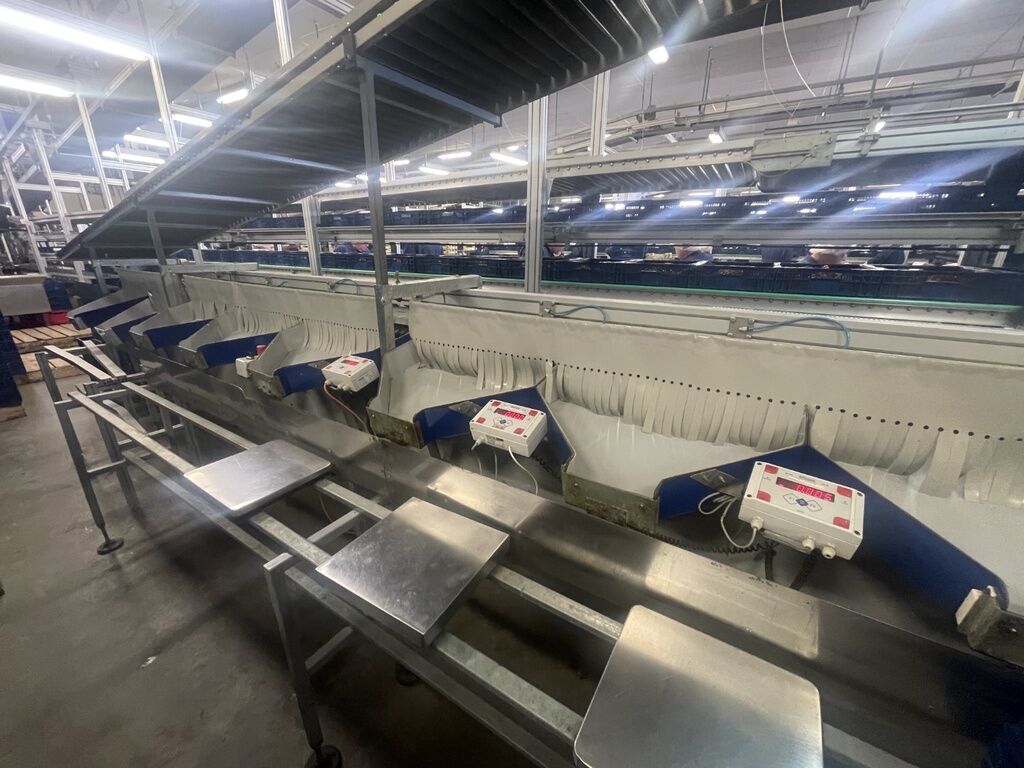 Cherry_Vision Unical 200 OC 1C8+1 11V174 3