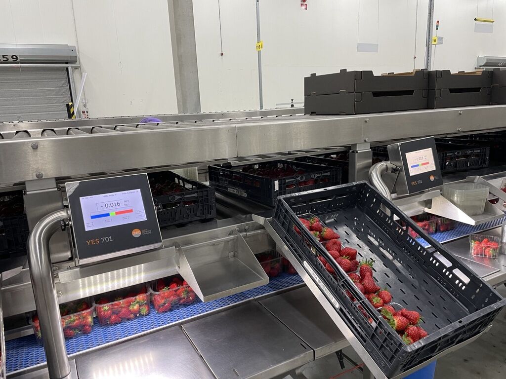 MC002 + SlipStream 2