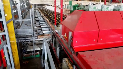 Sonstige Rollerstar-6-35